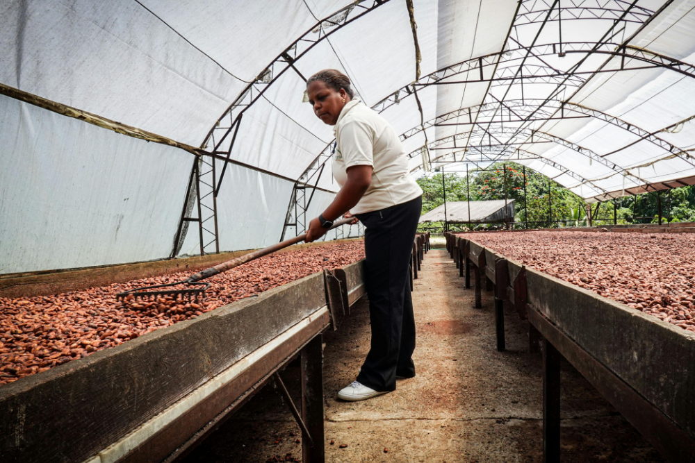 Arbeidsomstandigheden